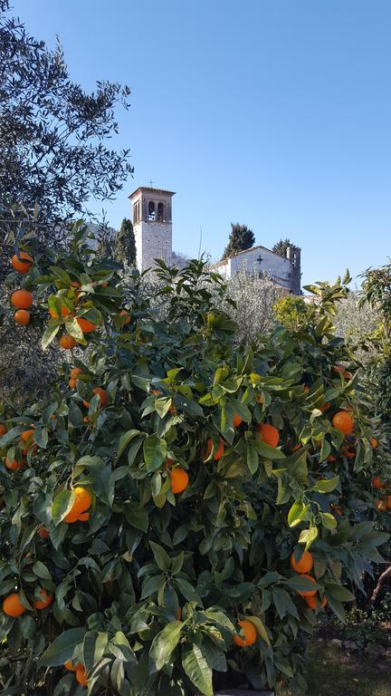 Casolare Al Dopolavoro Villa Lucca Kültér fotó