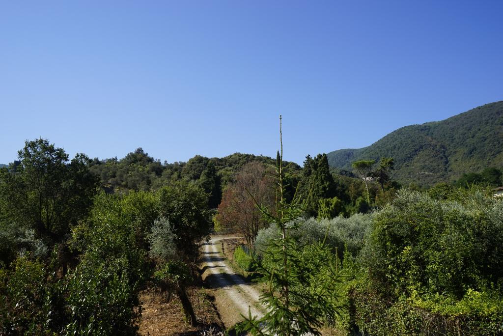 Casolare Al Dopolavoro Villa Lucca Kültér fotó